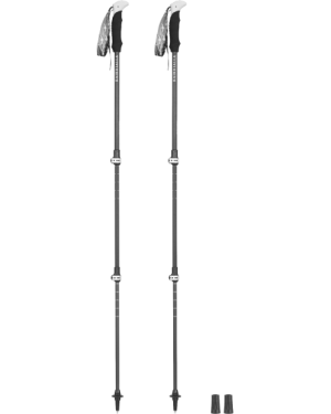 PULSA 3 CARBON