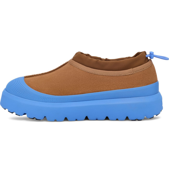 M TASMAN WEATHER HYBRID