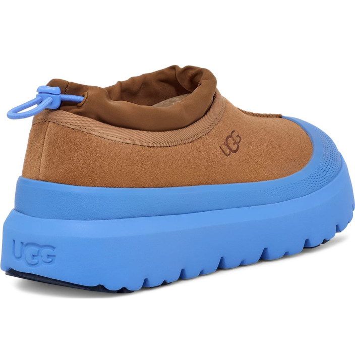 M TASMAN WEATHER HYBRID