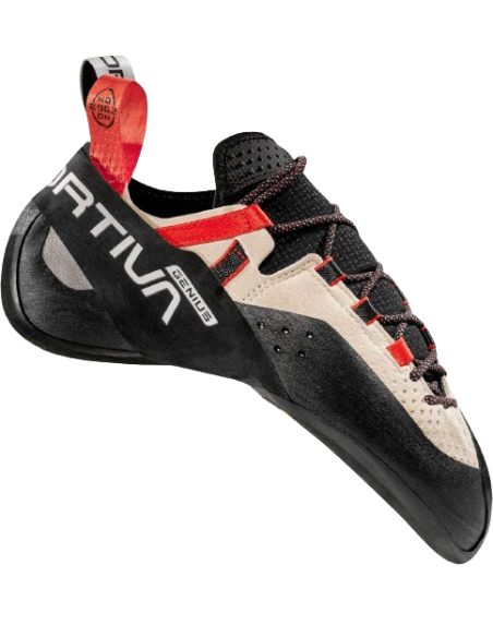 PUNTERA SCALE SPARK  GENIUS RAMSON PUNTERA SCALE SPARK  GENIUS RAMSON