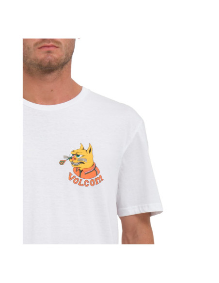 FA NANDO VON ARB SST