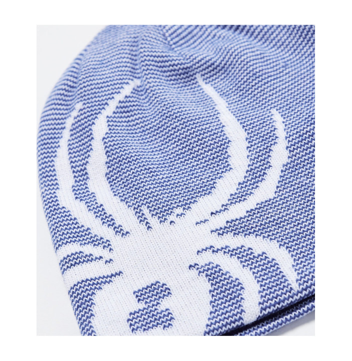 REVERSIBLE BUG