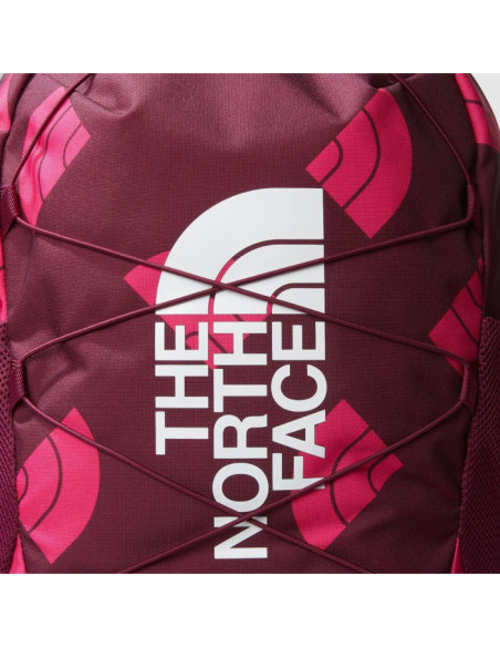 Y COURT JESTER Y COURT JESTER