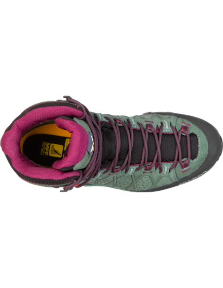 WS ALP TRAINER 2 MID GTX WS ALP TRAINER 2 MID GTX