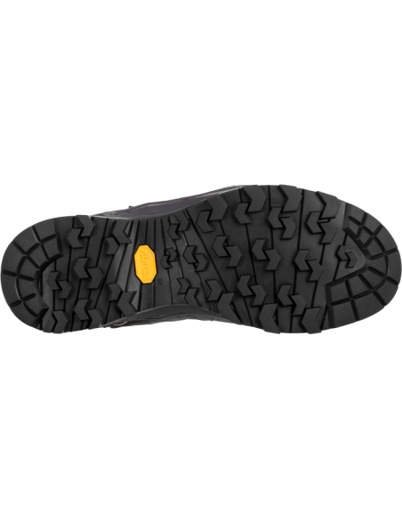 WS ALP TRAINER 2 MID GTX