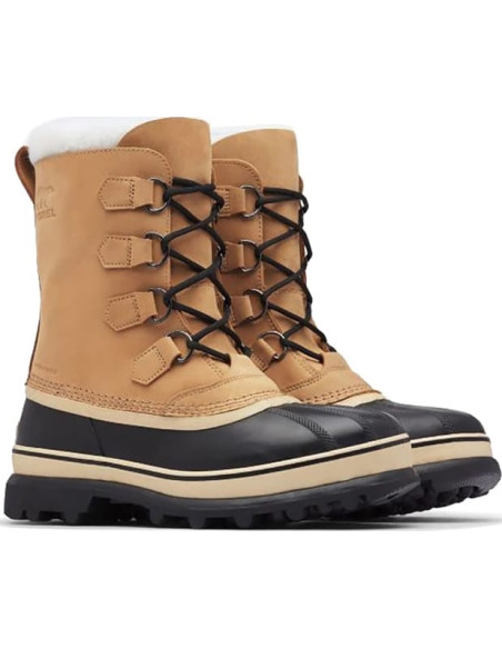 CARIBOU WP CARIBOU WP