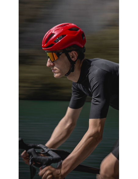 SINTESI WG11 SINTESI WG11