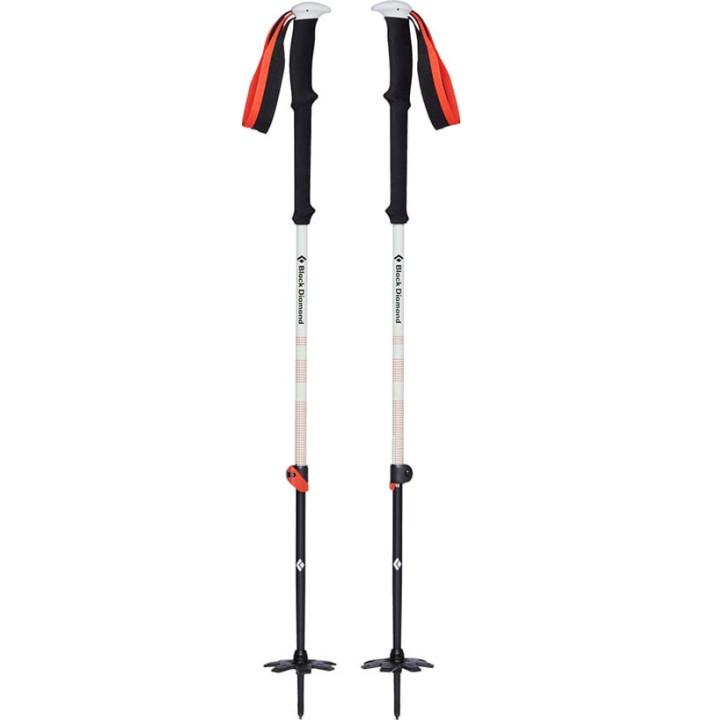 EXPEDITION 2 SKI POLES