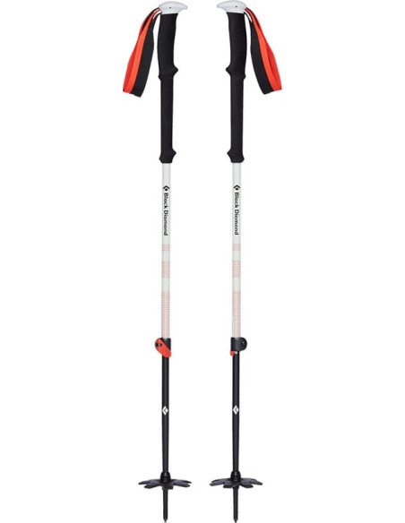 EXPEDITION 2 SKI POLES