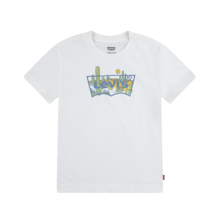 LVB SUNNY DESERT TEE