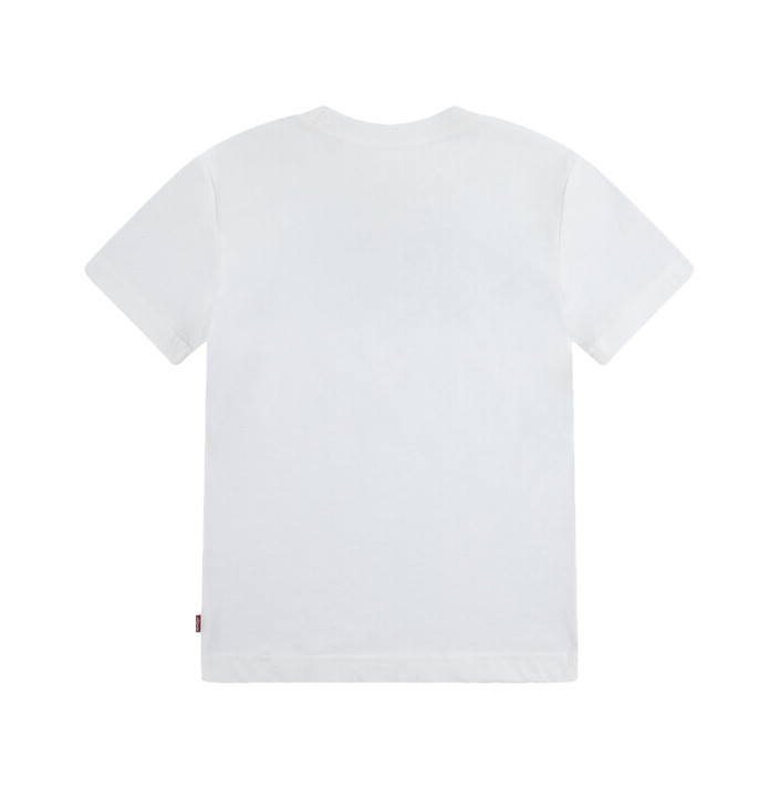 LVB SUNNY DESERT TEE