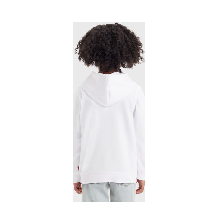 LVB PALM BATWING FILL HOODIE