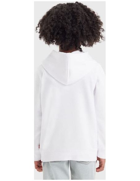 LVB PALM BATWING FILL HOODIE