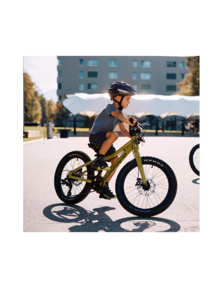 BICICLETA ROXTER 20 GREEN