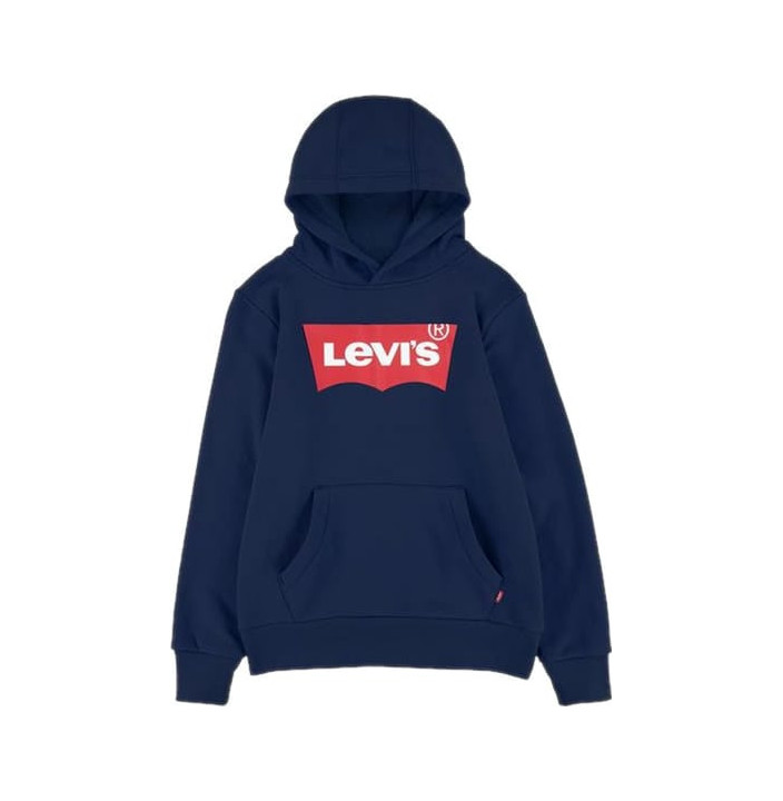 LVB-BATWING SCREENPRINT HOODIE
