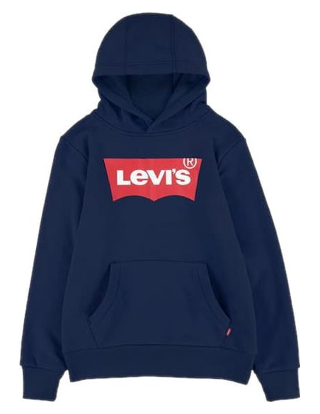 LVB-BATWING SCREENPRINT HOODIE