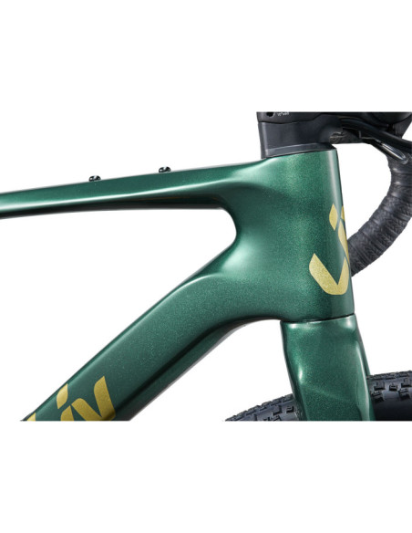 DEVOTE ADVANCED 2