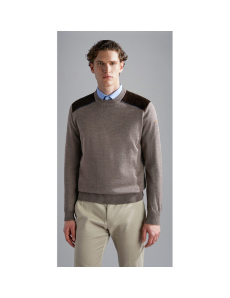 PULL RAS DU COU EN LAINE                                    