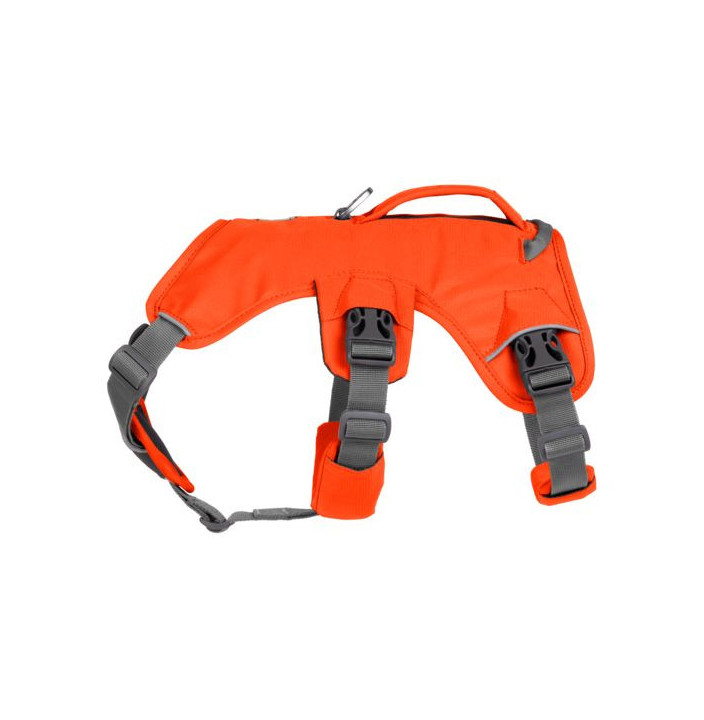 WEB MASTER HARNESS