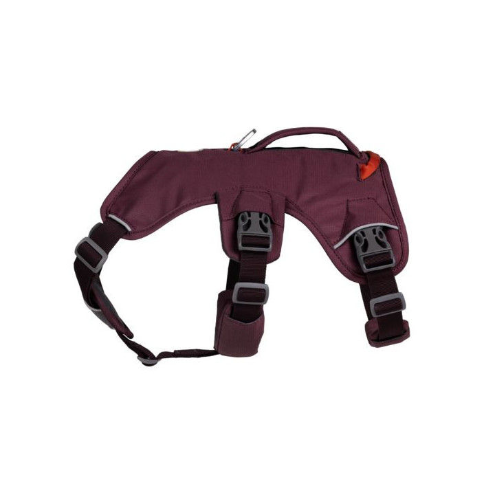 WEB MASTER HARNESS