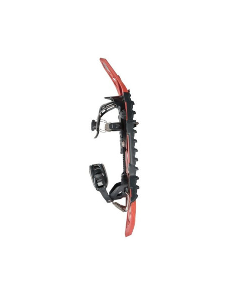 HIGHLANDER ORIGINAL 2