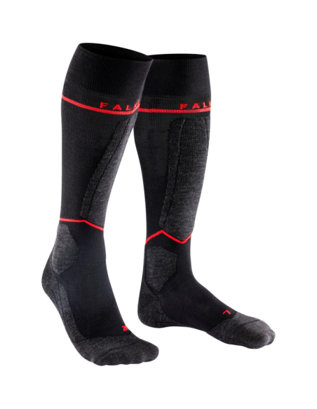 SK4 ENERGIZING LIGHT SK4 ENERGIZING LIGHT