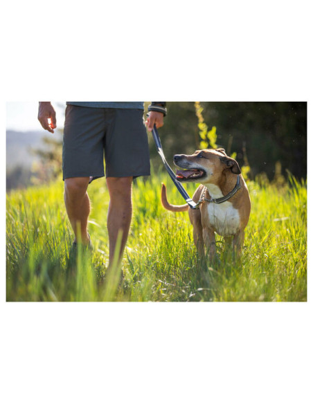 CHAIN REACTION COLLAR 2