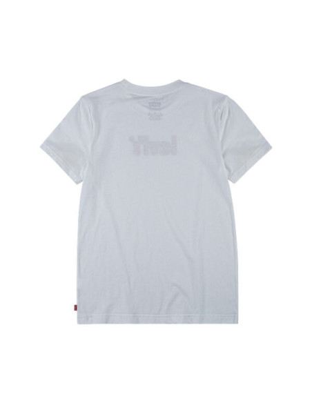 LVB SHORT SLEEVE GRAPHIC TEE SHIRT