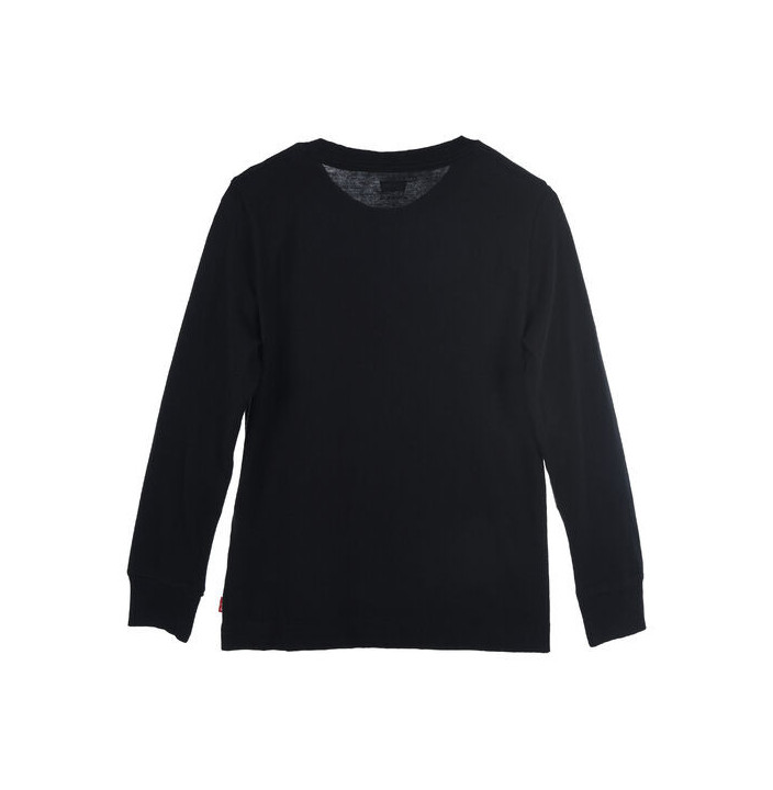 LVB POSTER LOGO LONG SLEEVE TE