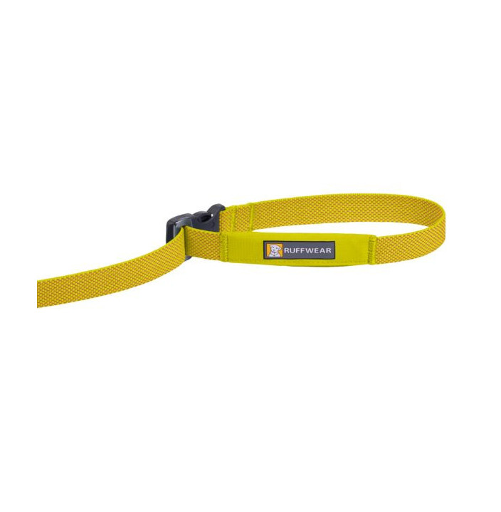 FLAGLINE LEASH