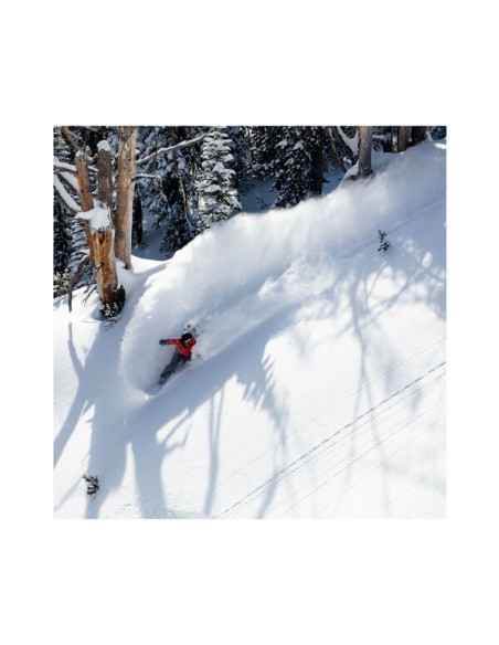 DREAM WEAVER SPLITBOARD