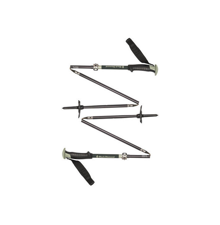 COMPACTOR SKI POLES