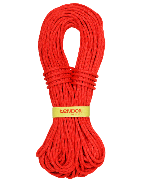 MASTER 7 COMPLETE SHIELD MASTER 7 COMPLETE SHIELD