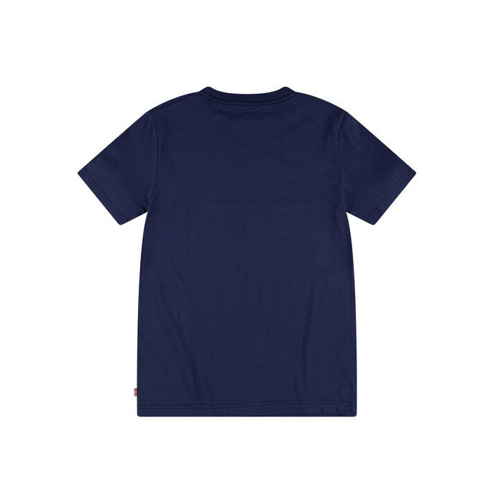 LVB SHORT SLEEVE GRAPHIC TEE SHIRT