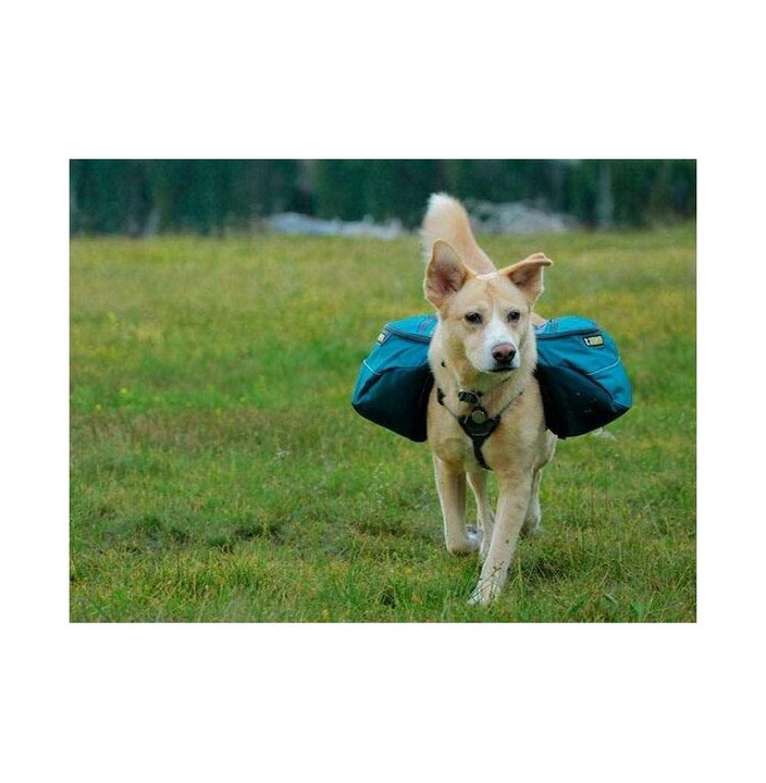 APPROACH PACK