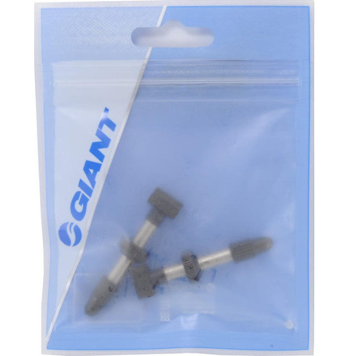 VALVE FOR TUBELESS TIRE