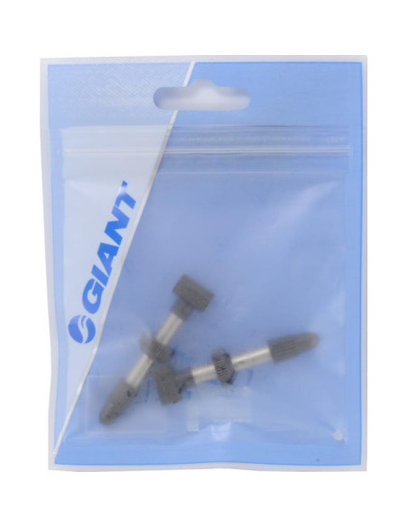 VALVE FOR TUBELESS TIRE