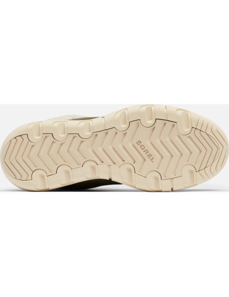 EXPLORER NEXT CARNIVAL WP