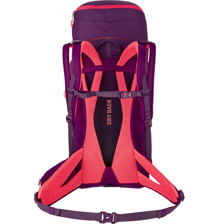 ALP TRAINER 30+3 WS