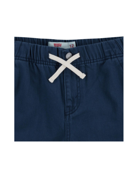 LVB LOOSE FIT PULL-ON PANTS