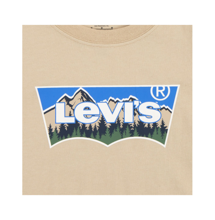 LVB FORESTED MOUNTAINS BATWING