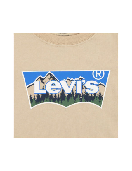 LVB FORESTED MOUNTAINS BATWING