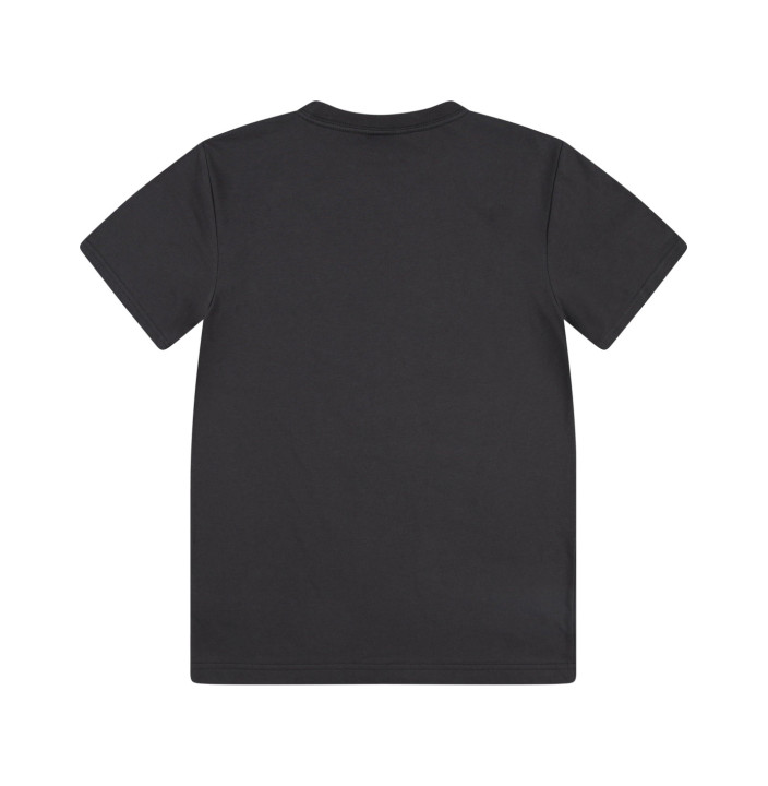 LVB SOAR LIKE AN EAGLE TEE