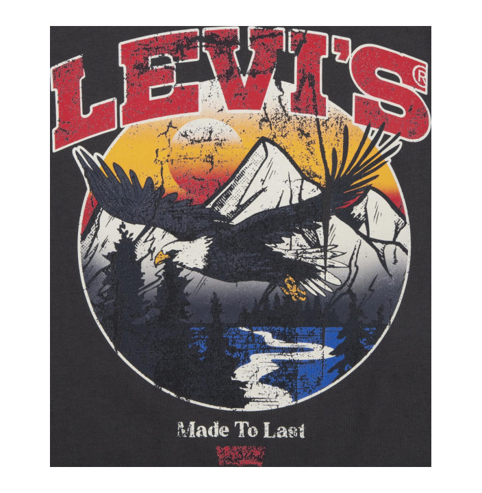 LVB SOAR LIKE AN EAGLE TEE