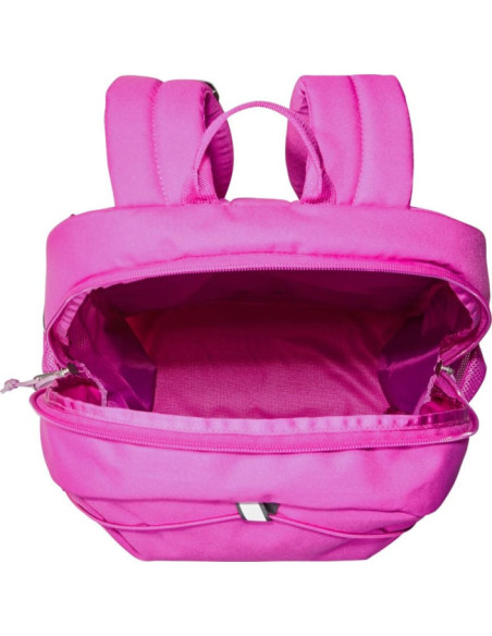 Y COURT JESTER Y COURT JESTER