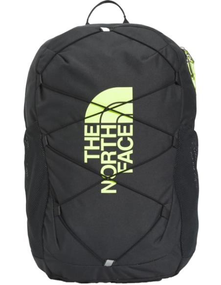 Y COURT JESTER Y COURT JESTER