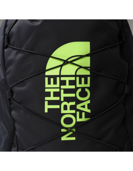 Y COURT JESTER Y COURT JESTER