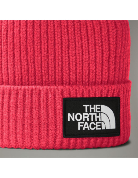 KIDS TNF BOX LOGO CUFFED BEANIE