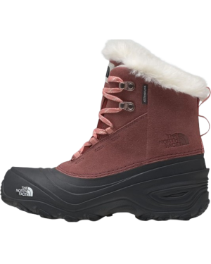 Y SHELLISTA V LACE WP