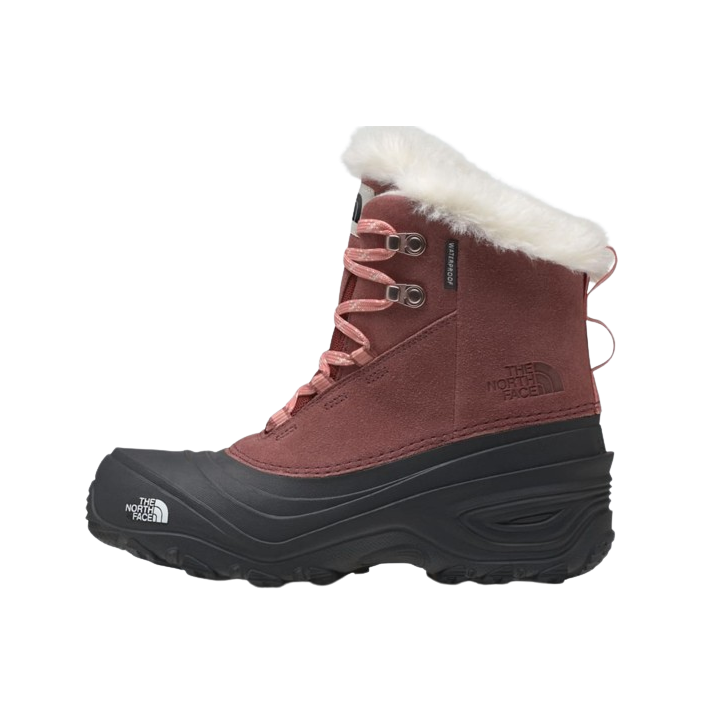 Y SHELLISTA V LACE WP